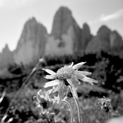 Dolomiti paesaggio alpino FD Dolomites