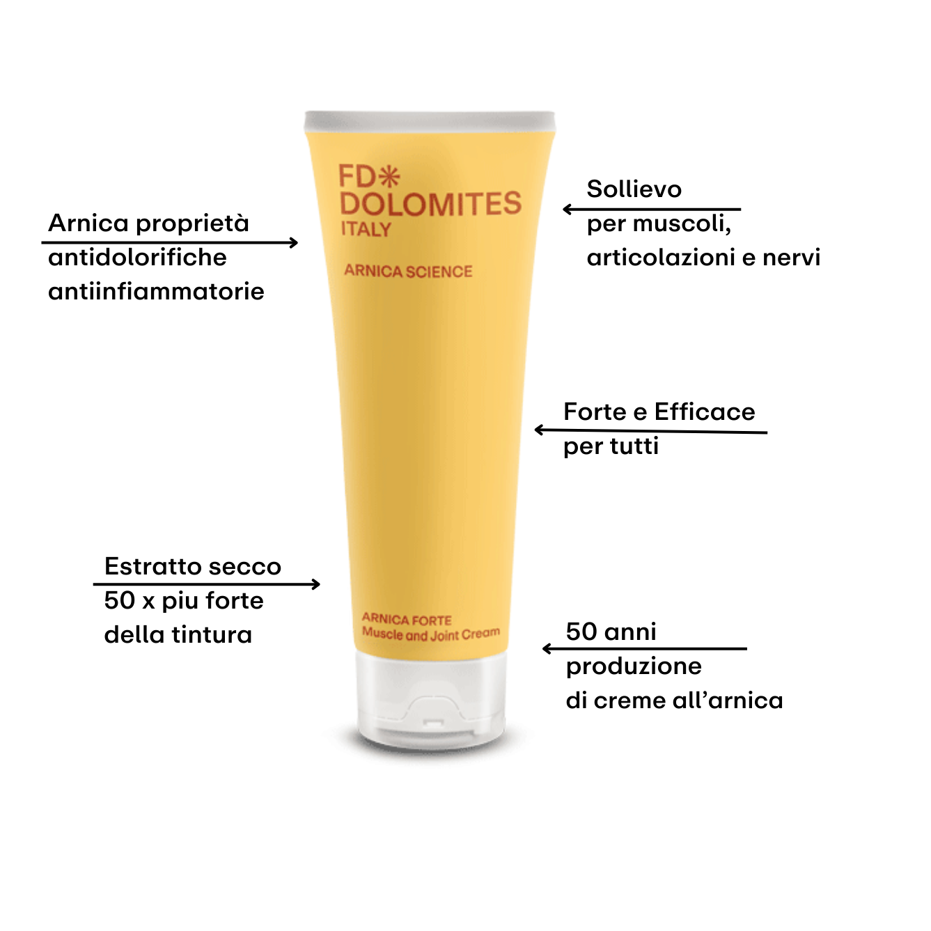 Arnica Forte antinfiammatorio naturale 150% tintura analgesico tendini nervi FD Dolomites