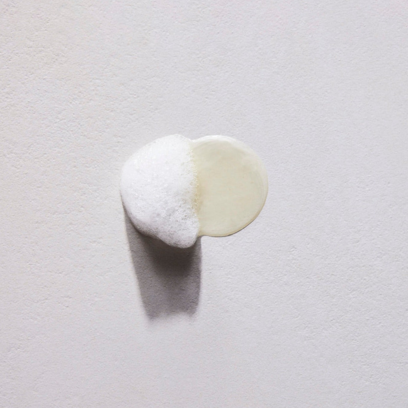 Bagno Doccia Leontopodium alpinum texture FD Dolomites