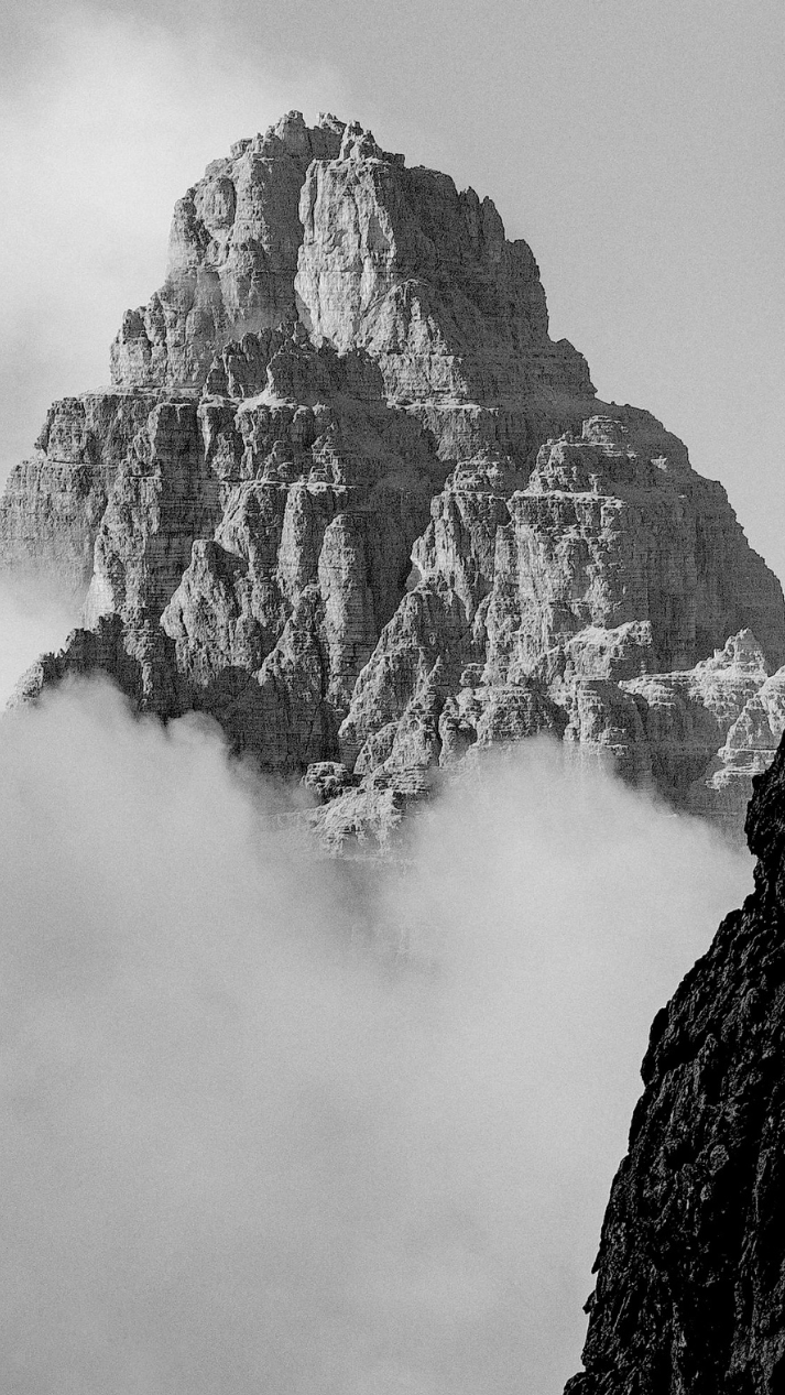 FD_Dolomites_arnica_science_cbd_banner_cima_mobile_b75b67b9-1e2a-4c40-9929-bcdb6e83a4d1.png